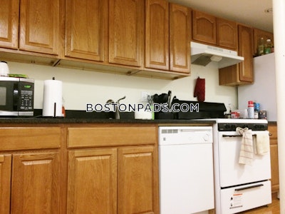 Allston/brighton Border 3 Beds 2 Baths Boston - $3,400