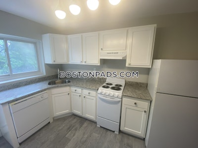 Brighton 2 Bed 1 Bath BOSTON Boston - $2,950