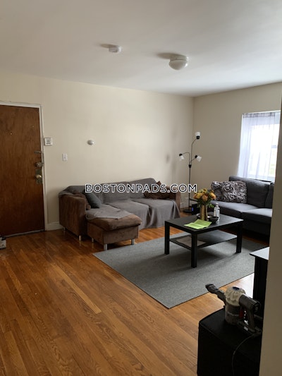 Brighton 2 Bed 1 Bath BOSTON Boston - $2,950