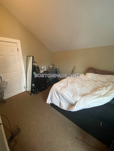 Mission Hill cozy 3 bedroom 1 Bath Boston - $3,300