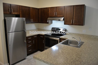 Dorchester Studio 1 Bath Boston - $1,955