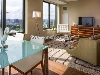 Downtown 1 Bed 1 Bath Boston - $4,375