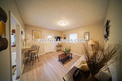 Fort Hill 1 Bed 1 Bath BOSTON Boston - $2,300