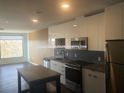 Jamaica Plain Apartment for rent 2 Bedrooms 1 Bath Boston - $4,600 No Fee