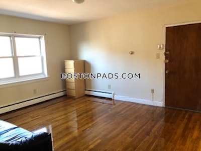 Brighton Apartment for rent 2 Bedrooms 1 Bath Boston - $2,950