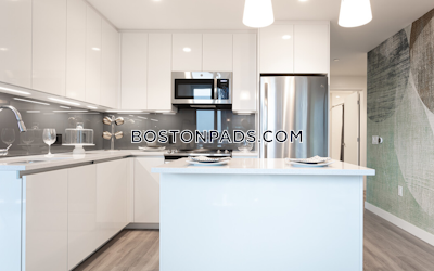 West End 2 bedroom  Luxury in BOSTON Boston - $10,065