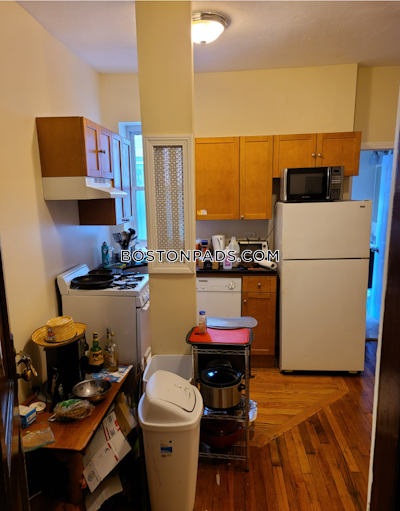 Allston Apartment for rent 1 Bedroom 1 Bath Boston - $2,550