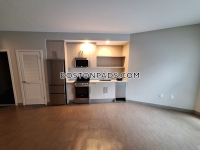 Jamaica Plain Studio  baths Luxury in BOSTON Boston - $2,505