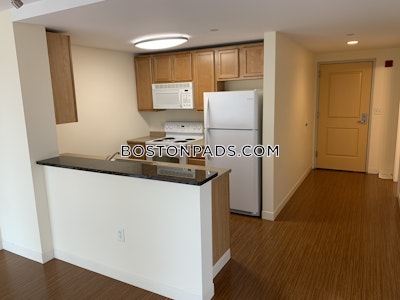 Dorchester Apartment for rent 2 Bedrooms 2 Baths Boston - $3,363 No Fee